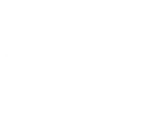 MICOSOFT